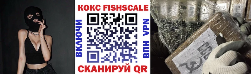MEGA ссылка  Отрадный  Кокаин Fish Scale  как найти закладки 