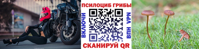 цена наркотик  MEGA вход  Псилоцибиновые грибы GOLDEN TEACHER  Отрадный 