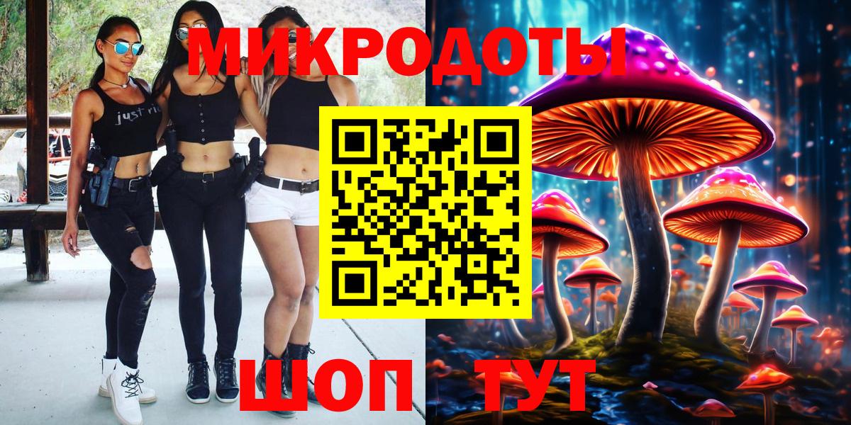 Галлюциногенные грибы Psilocybe Отрадный