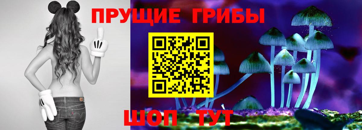где купить наркоту  Псилоцибиновые грибы MAGIC MUSHROOMS  Вход с VPN  Отрадный 